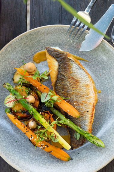 Untitled design (78)