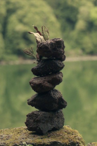 Untitled design (81)