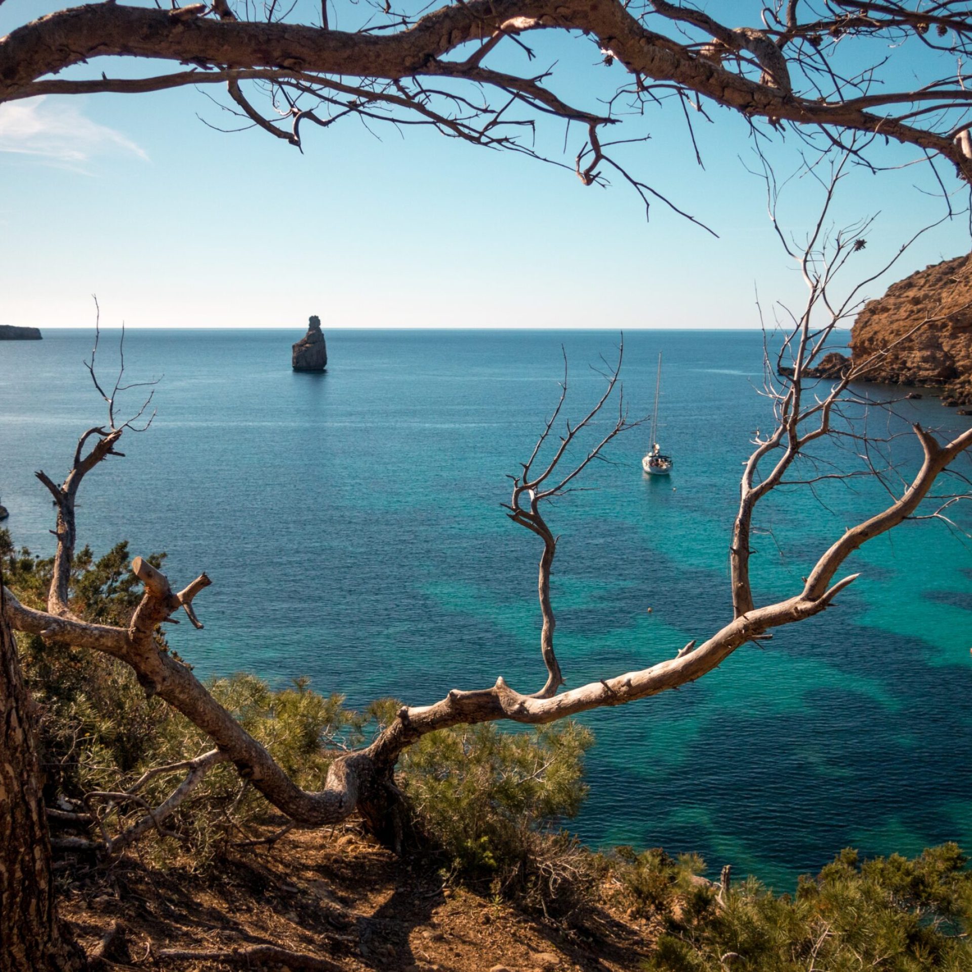 The sea surrounded by rocks and greenery under the sunlight in Ibiza